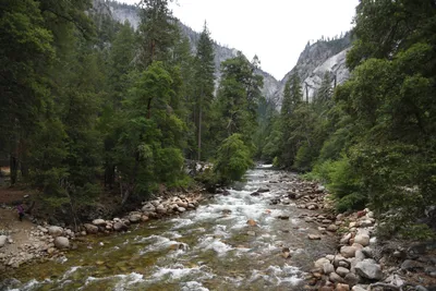 DSC_4677 (Large).JPG